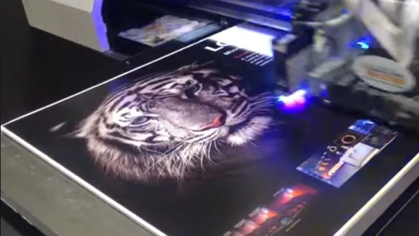 Cuadros alta resolucion con barniz y relieve